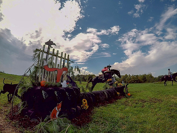 vlcsnap-2018-10-14-09h52m27s540 fb