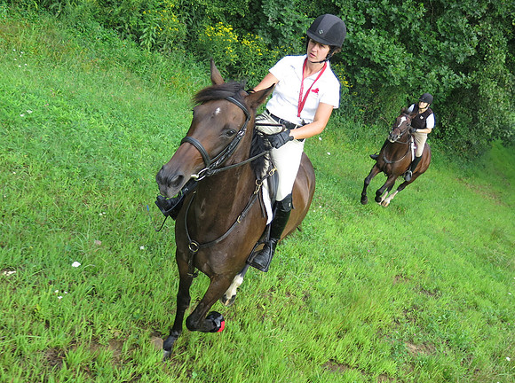 IMG_0855