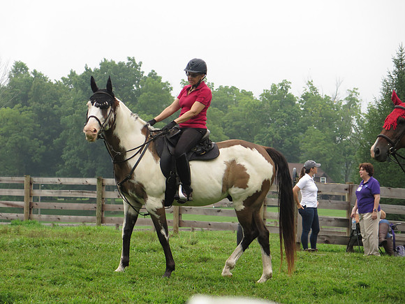 IMG_9518