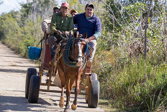 3Q2A2244 fb