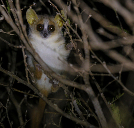 9V3A3653a