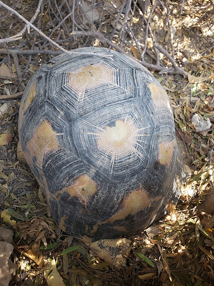 20231015_093503