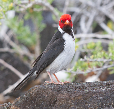 IMG_8863