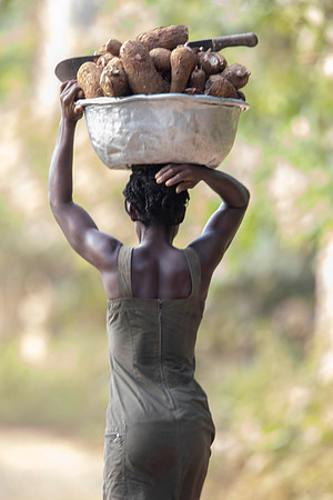 Cassava woman