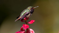 IMG_2415