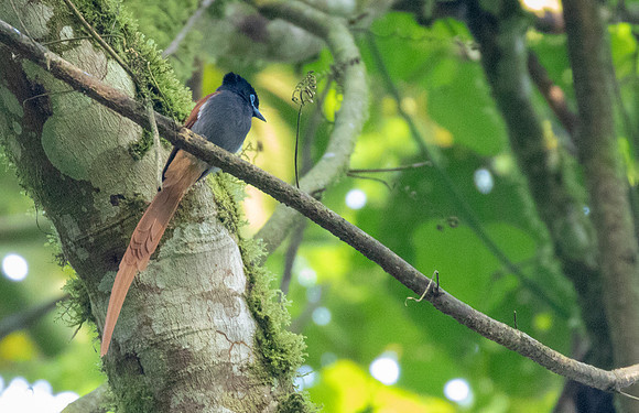 3Q2A5566