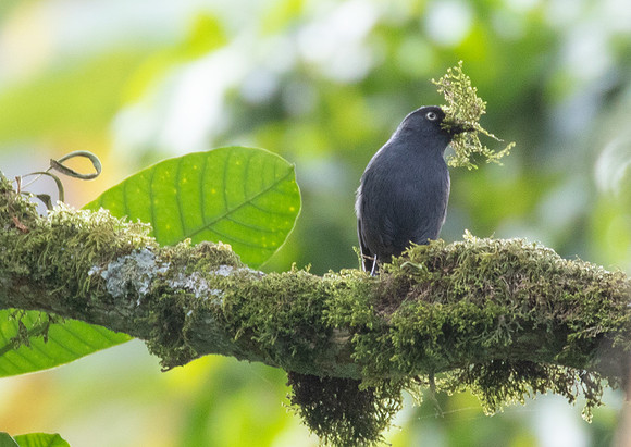 3Q2A7690