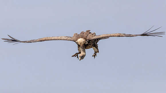 3Q2A7880 16 9