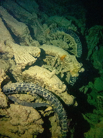 IMG_3953 1080