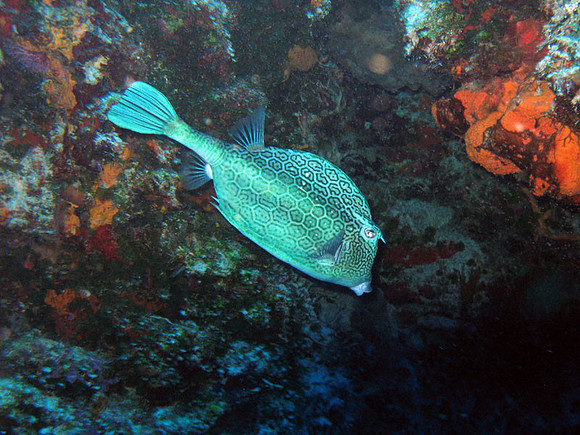IMG_1243