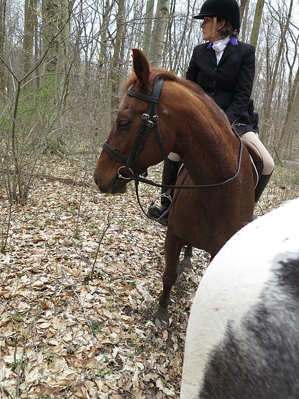 IMG_3168