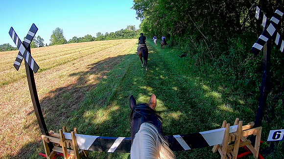 vlcsnap-2019-07-14-09h19m26s907a