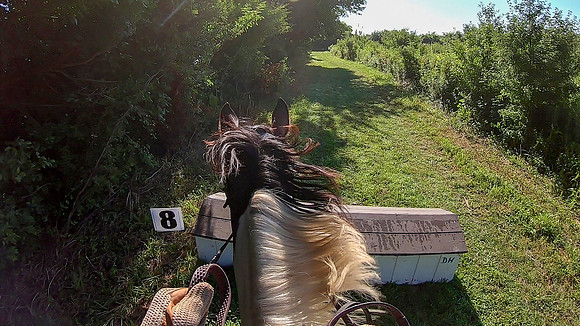 vlcsnap-2019-07-14-10h04m29s676a