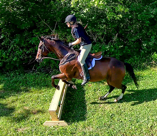 vlcsnap-2019-07-14-10h06m27s677a