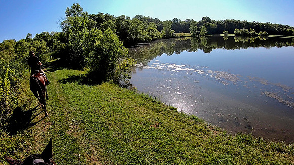vlcsnap-2019-07-14-10h13m03s453a
