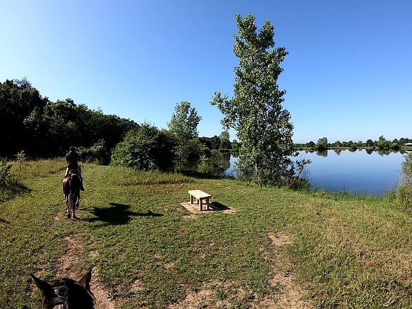 vlcsnap-2019-07-14-10h13m20s962