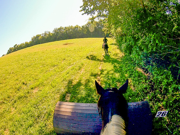 vlcsnap-2019-07-14-10h16m59s518a