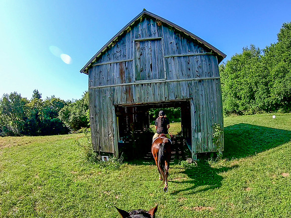 vlcsnap-2019-07-14-10h17m37s256a