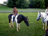 IMG_7541a