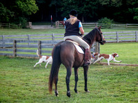 IMG_7557a