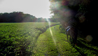 IMG_7586a