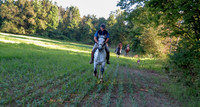 IMG_7874a