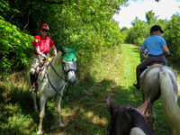 IMG_8108a