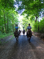 IMG_8120a