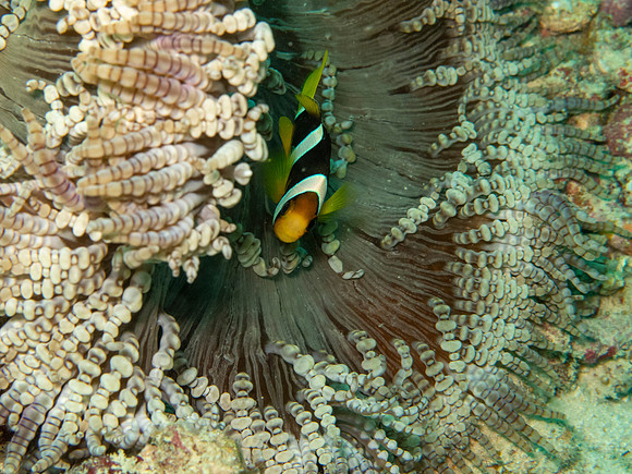 IMG_3374
