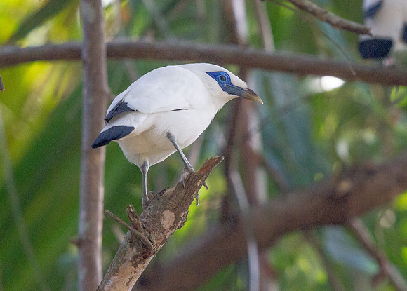 IMG_4624