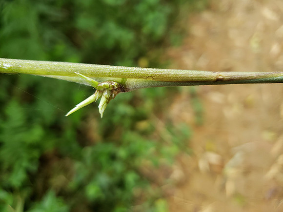 20191204_084923