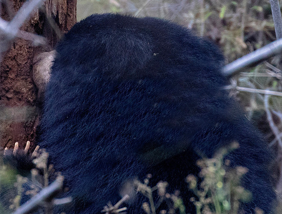 3Q2A0312 crop
