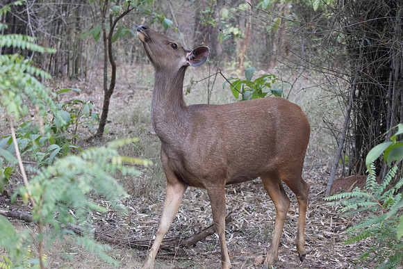 3Q2A0340