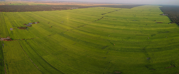 100_0783_20200115064013
