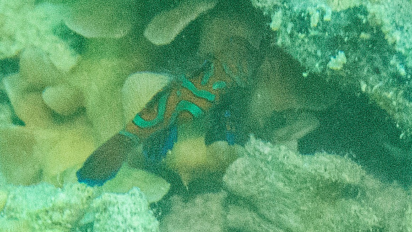 IMG_3987