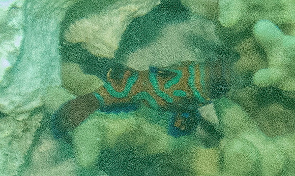 IMG_3985