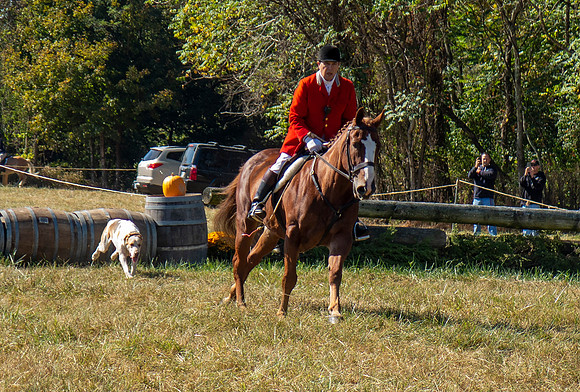 IMG_0794a