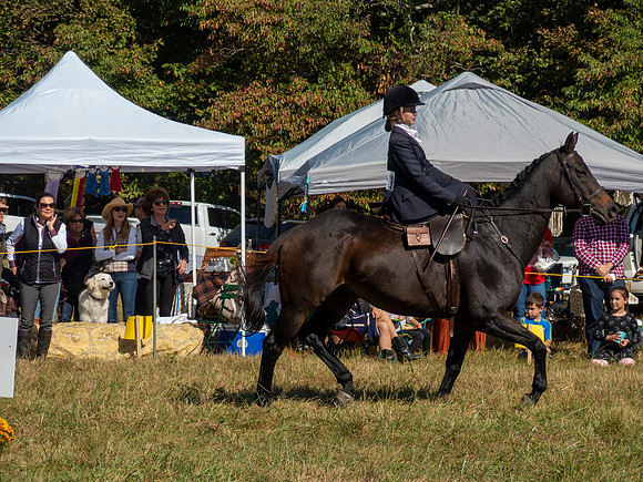 IMG_0819a