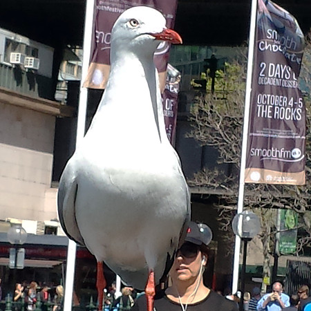 20140922_224518-thumb