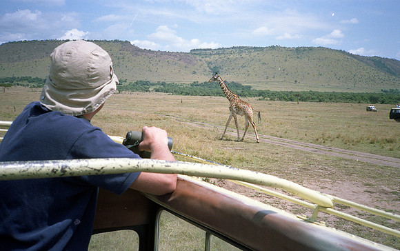 1988 Africa giraffe img321