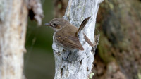 IMG_2433