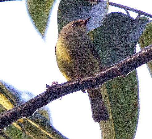 IMG_9494