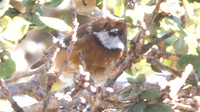 IMG_1353
