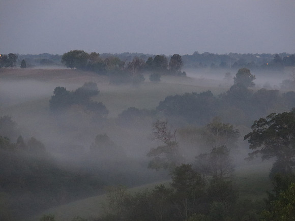 IMG_6497