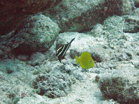 IMG_1700