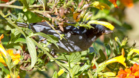 IMG_0741
