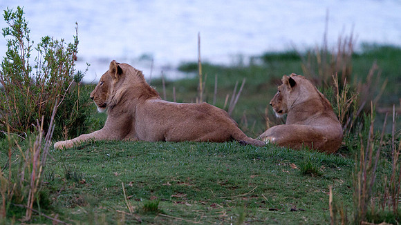IMG_3132-crop