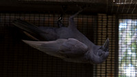 IMG_2314