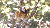 IMG_1355