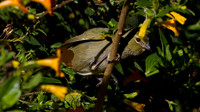 IMG_0752
